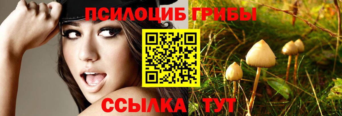 Галлюциногенные грибы MAGIC MUSHROOMS  Псилоцибиновые грибы прущие грибы  Вход с VPN  магазин    Лесосибирск 